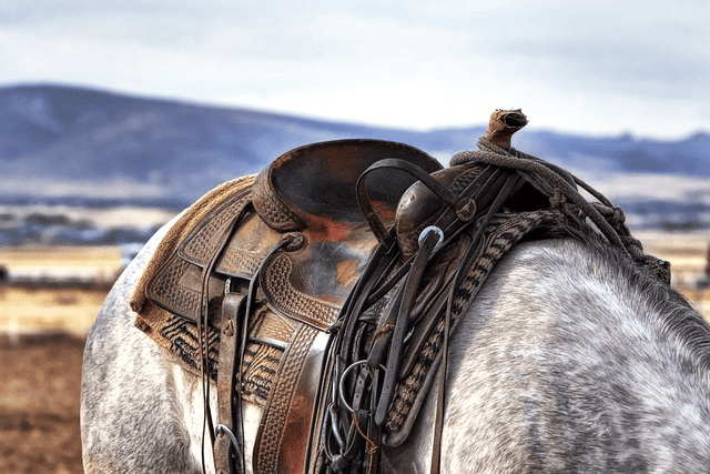 saddle, horse, cowboy