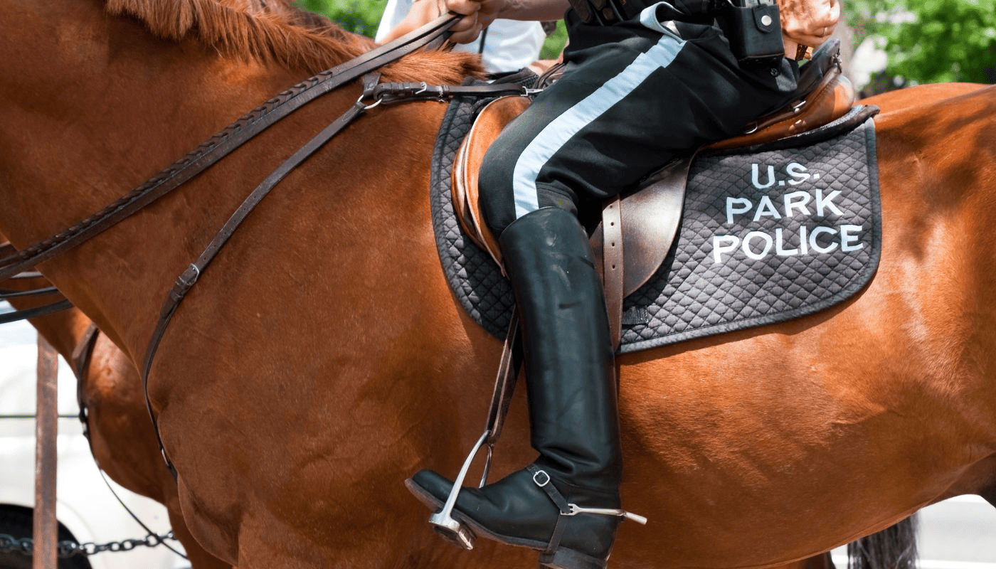Police Saddle